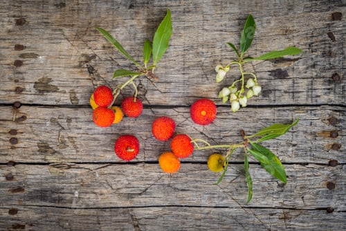 Preview: Delicious Fresh Arbutus Fruits On A Wooden Table