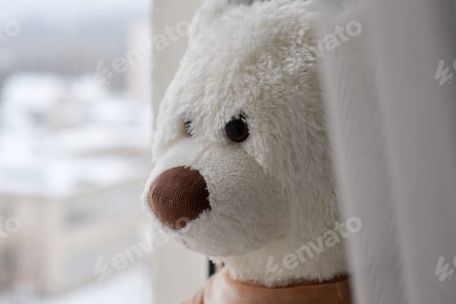 Preview: Close Up Of Big White Teddy Bear Toy Is Sitting At The Window, Looking Out. Selective Focus.