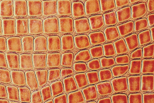 Preview: Old Crocodile Leather Texture, Background