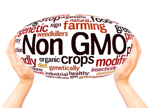 Preview: Non Gmo Word Cloud Hand Sphere Concept On White Background.