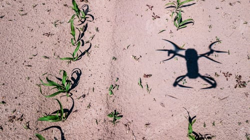 Preview: The Shadow Of A Quadcopter On The Field
