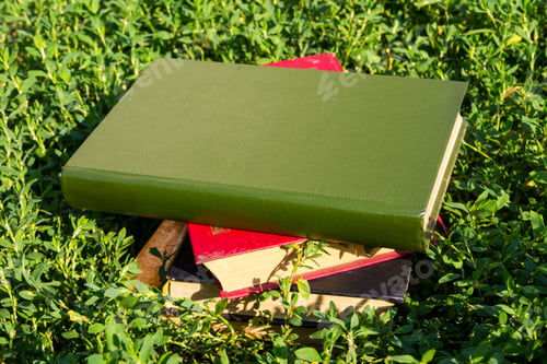 Preview: Stack Of Old Books On Green Grass