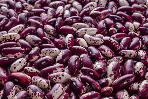 Preview: Fresh Organic Natural Beans On A White Background