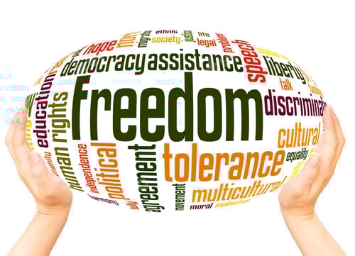 Preview: Freedom Word Cloud Hand Sphere Concept On White Background.