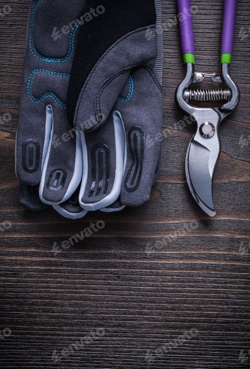 Preview: Garden Pruner Gardening Gloves On Vintage Wood Board Agriculture Concept.