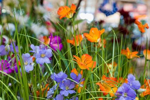 Preview: Artificial Flowers . Accessories Or Attributes For Decoration And Interior Design. Selective Focus