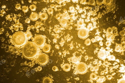 Preview: Biodiesel, Bubbles Biofuel, Vegetable Oil, Yellow And Orange Emulsion Bubbles Background