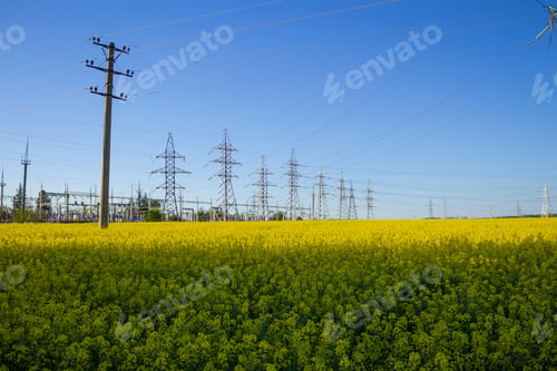 Preview: High Voltage Wires In A Rapeseed Field. Bioenergy Concept
