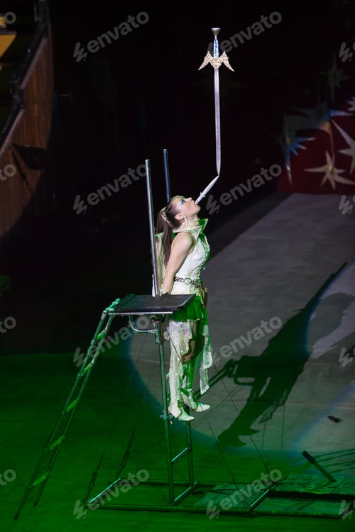 Preview: Dog Trainer In A Circus