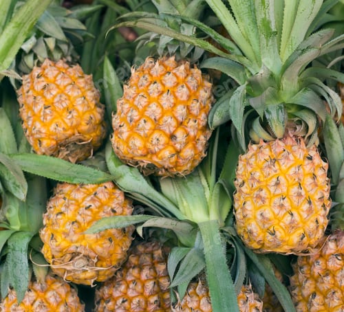 Preview: Pineapple Fruit Background (Selective Focus)