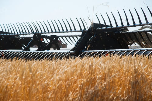 Preview: Agriculture. Combine Harvester On A Wheat Field With Blue Sky