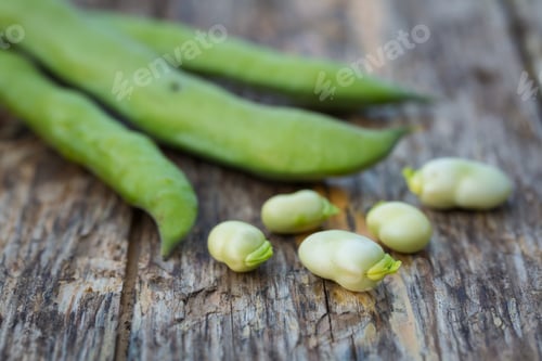 Preview: Fresh Raw Fava Beans On A Rustic Wooden Background