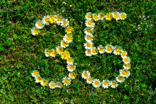 Preview: Happy Anniversary Number Thirty-Five.