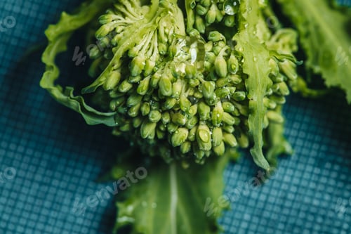 Preview: Traditional Apulian Dish With Orecchiette Shaped Pasta And Turnip Tops Vegetables