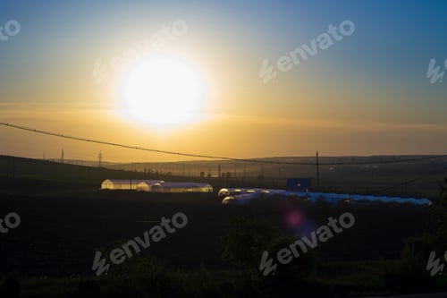 Preview: Silhouettes Of Greenhouses At Sunset. Beautiful Background Theme Of Natural Products, Vegetables