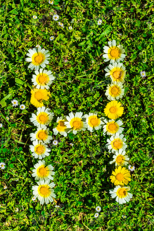 Preview: Flower Alphabet Letter H.