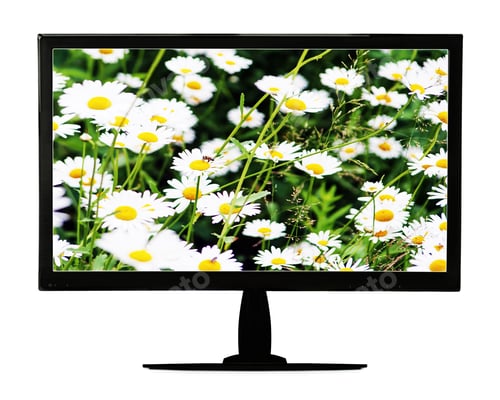 Preview: Black Lcd Monitor With Flowering Meadow Isolated On White Background. Closeup.