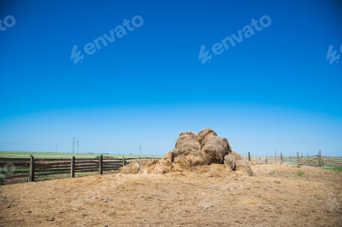 Preview: The Hay Storage Shed Full Of Bales Hay On Farm. Bales Stacked In A Pyramind