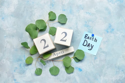 Preview: Calendar With Date Of Earth Day And Plants On Color Background