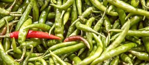 Preview: Green Chili Pepper With One Red.