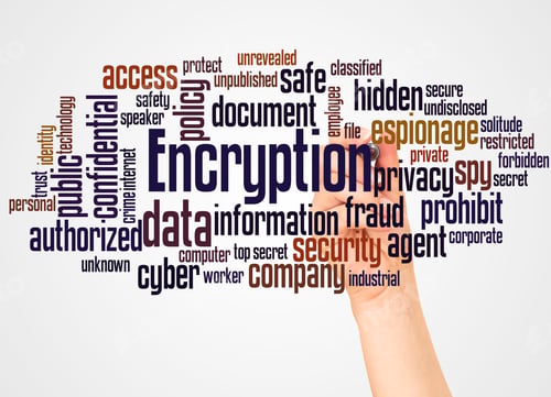 Preview: Encryption Word Cloud And Hand With Marker Concept On White Background.