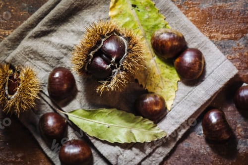 Preview: Fresh Raw Chestnuts Fruits In Autumn Season
