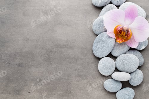 Preview: Orchid Theme Objects On The Grey Background.