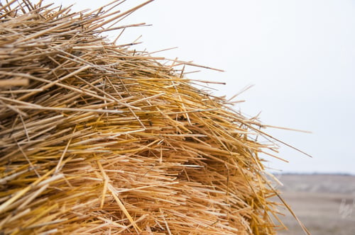 Preview: The Hay Storage Shed Full Of Bales Hay On Farm. Bales Stacked In A Pyramind