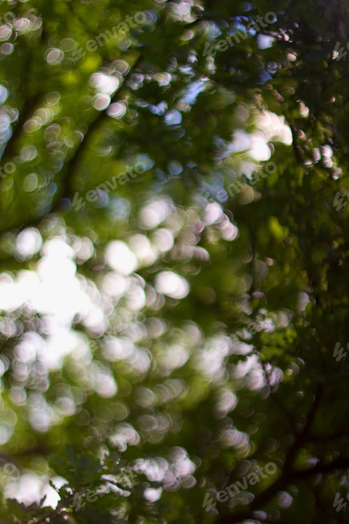Preview: Green Oak Background.