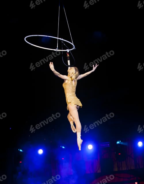 Preview: Air Gymnast In A Circus