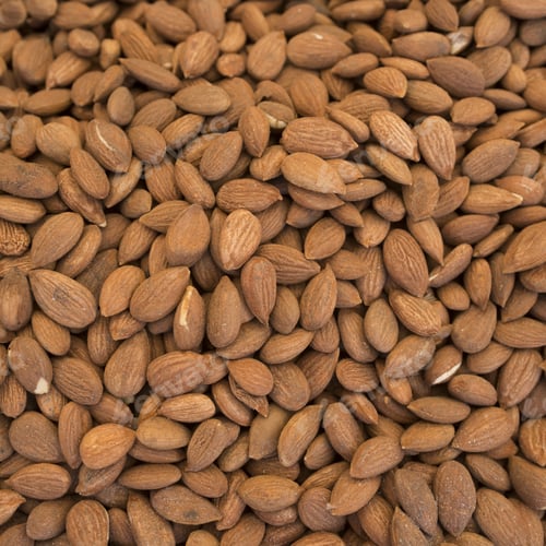Preview: Sale Of Ochischenny Almonds On The Market. It Can Be Used As Background Food (Selective Focus)