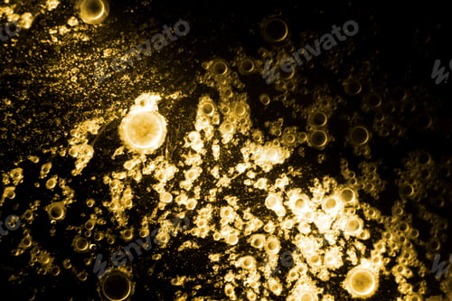 Preview: Biodiesel, Bubbles Biofuel, Vegetable Oil, Yellow And Orange Emulsion Bubbles Background