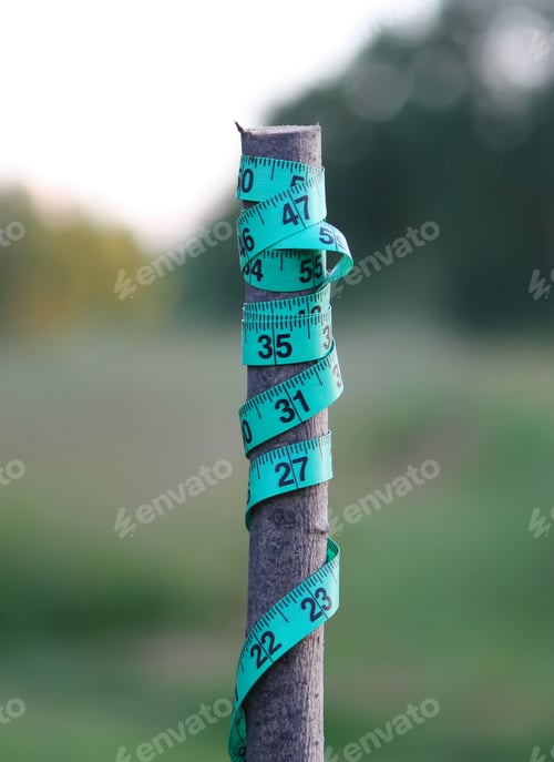Preview: Wooden Stick With A Tailor Measuring Tape.