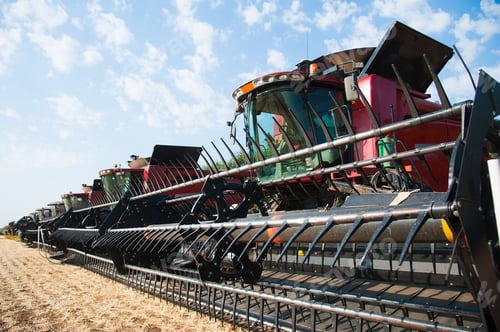 Preview: Combine Harvesters, In A Wheat Field Ready For Harvest