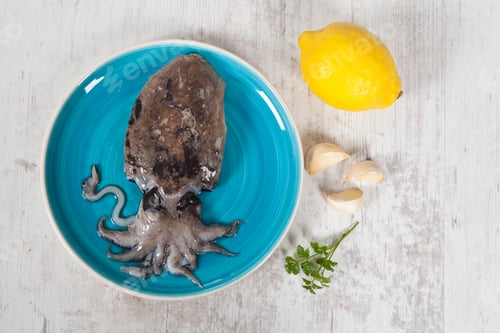 Preview: Fresh Raw Cuttlefish Ready To Be Cooked