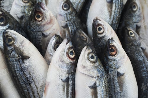 Preview: Various Fresh Fish And Seafood At The Fish Market In In Goynuk, Turkey