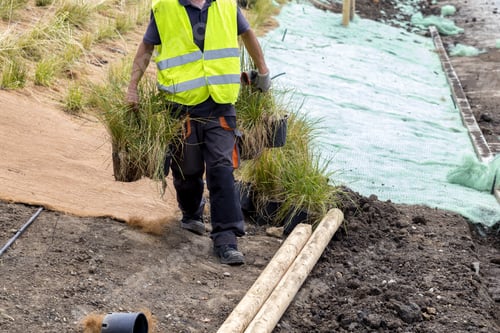 Preview: Worker Preparing New Grass For Planting Along Riverside