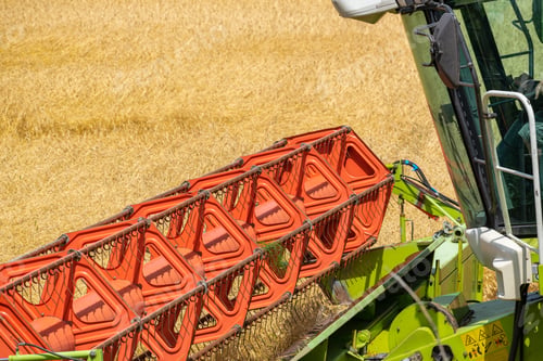 Preview: Harvester At Work On The Field Harvesting Ripe Wheat
