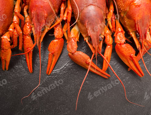 Preview: Red Boiled Crayfish On Stone Slate Dark Background. Beer Snack.