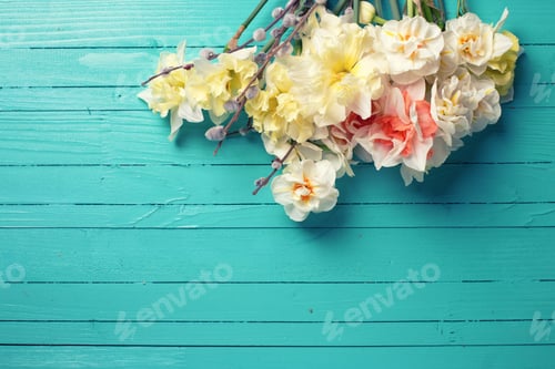 Preview: Yellow Daffodils Or Narcissus And Willow Flowers On Green Painted Wooden Background. Selective
