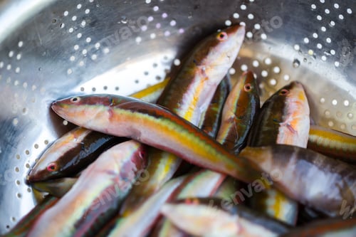 Preview: Preparing To Cook The Raw Fresh Donzella Fishes In Puglia, South Of Italy