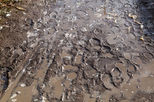 Preview: Very Dirty Pedestrian Area With Puddles And Footprints. Background . The Soggy Soil Of A Village