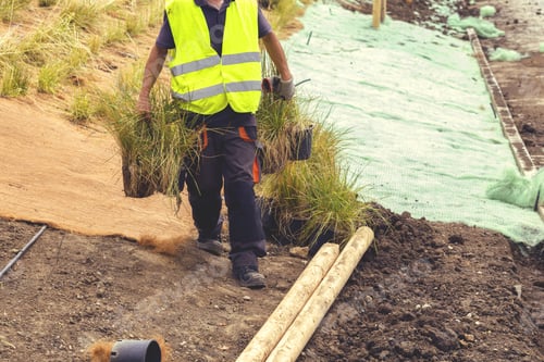 Preview: Worker Preparing New Grass For Planting Along Riverside. Vintage Style.