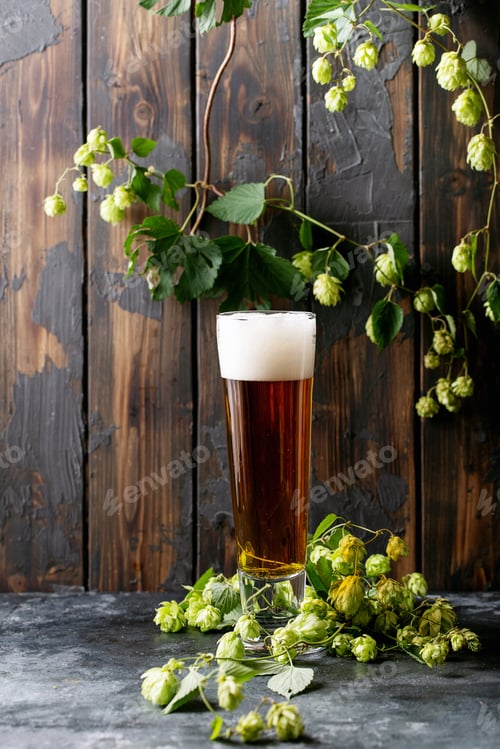 Preview: Beer In A Glass Mug With Green Fresh Hops Over Dark Texture Backgroun