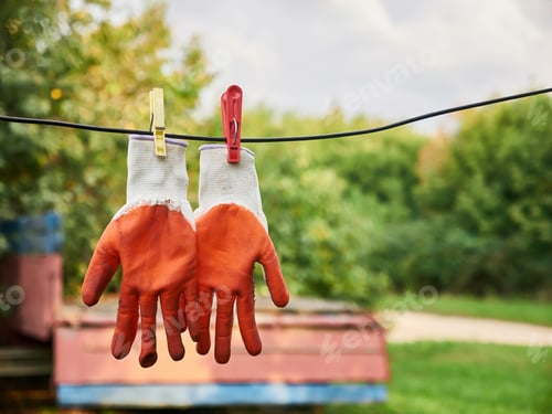 Preview: Garden Gloves Dry On Lace