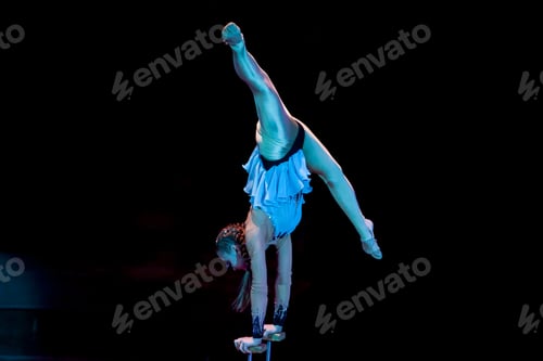 Preview: Performances Of A Gymnast In A Circus