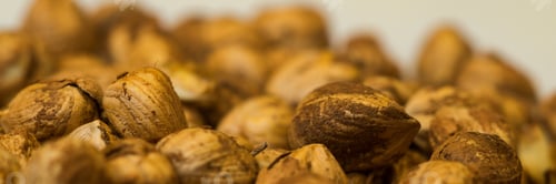 Preview: Right Hazelnuts Kernels In The Background.