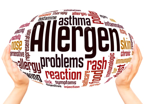 Preview: Allergen Word Cloud Hand Sphere Concept On White Background.