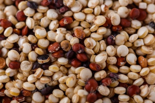 Preview: Mix Of Quinoa Grains On White Acrylic Background