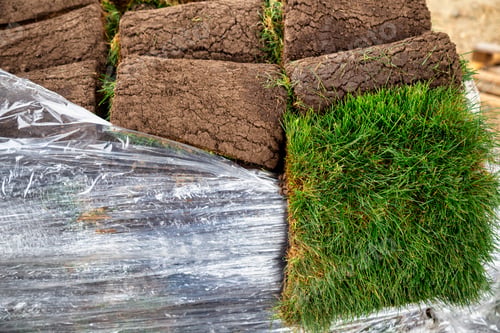 Preview: Fresh Stacks Of Sod Rolls On Pallet For New Lawn. Selective Focus.